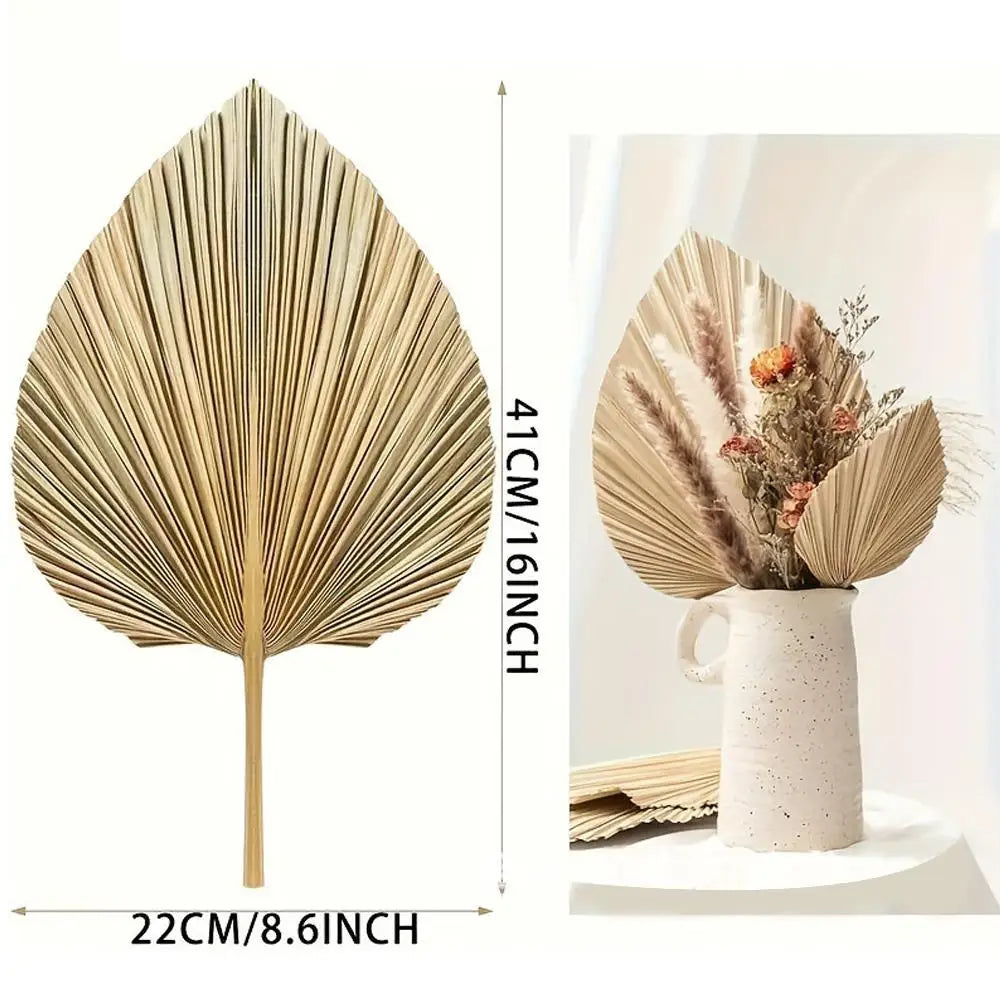 Dried Palm Fan Leaf - Natural Wedding & Home Decor