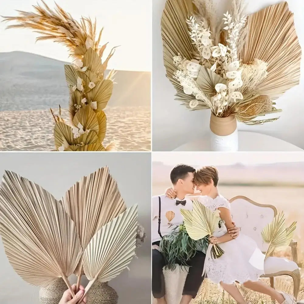 Dried Palm Fan Leaf - Natural Wedding & Home Decor
