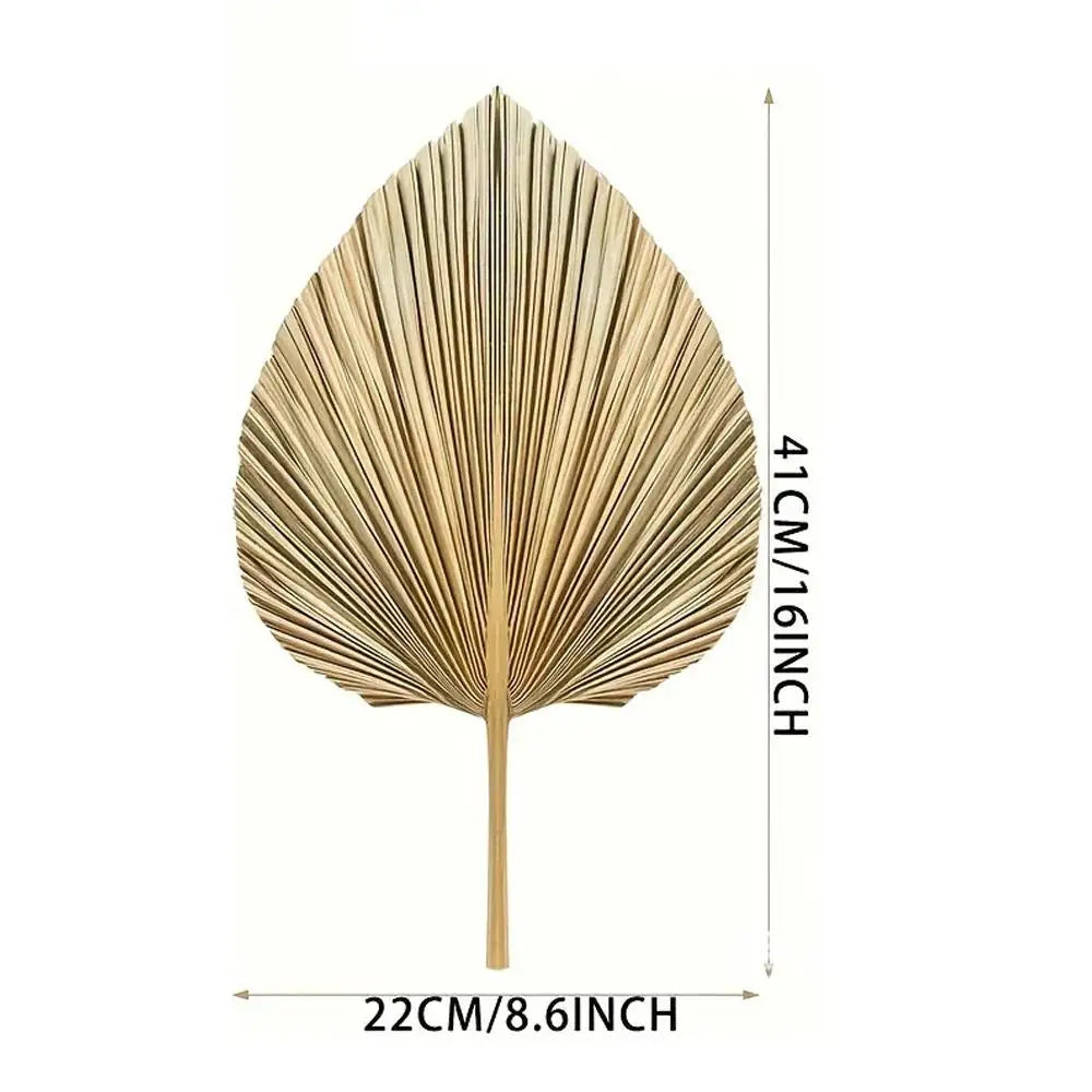 Dried Palm Fan Leaf - Natural Wedding & Home Decor