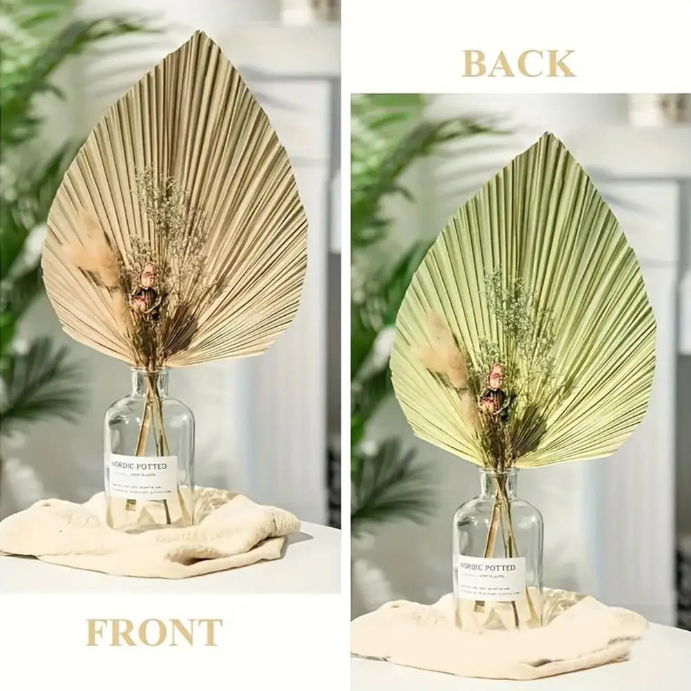 Dried Palm Fan Leaf - Natural Wedding & Home Decor