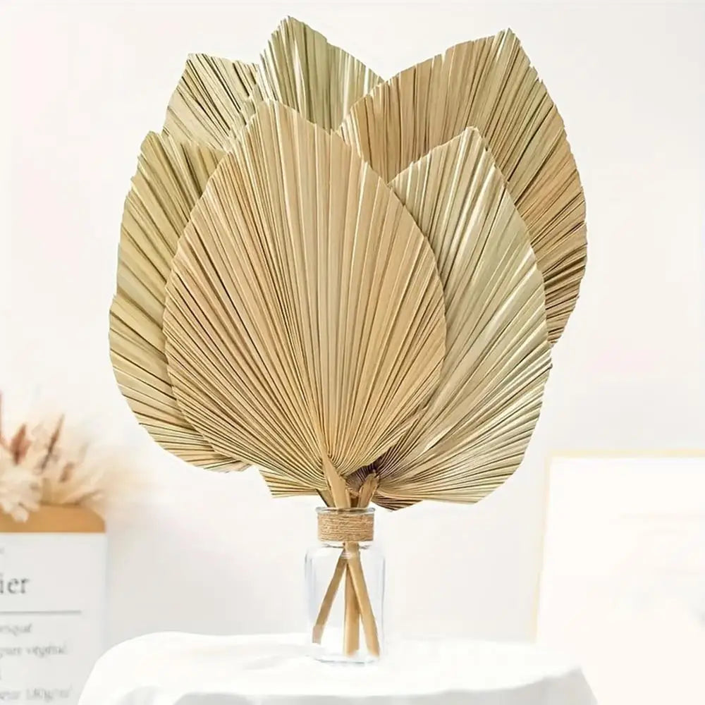 Dried Palm Fan Leaf - Natural Wedding & Home Decor