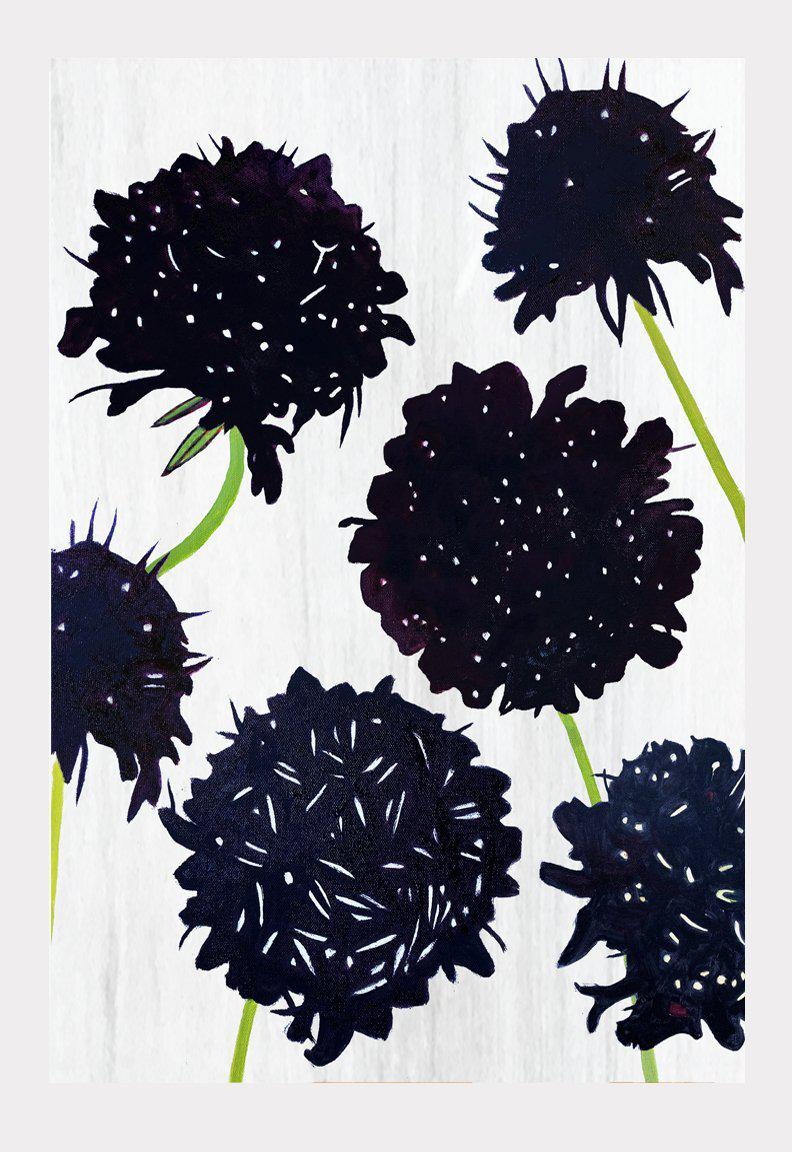 Art Print: Black Scabiosa on Snow - HavenlyCo