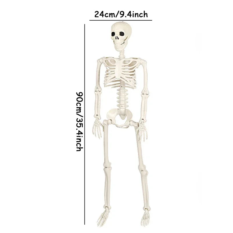 Life-Size Movable Skeleton - Halloween Haunted House Prop Decoration