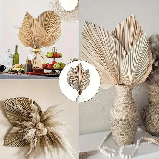 Dried Palm Fan Leaf - Natural Wedding & Home Decor