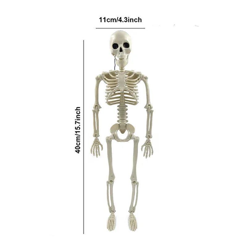 Life-Size Movable Skeleton - Halloween Haunted House Prop Decoration