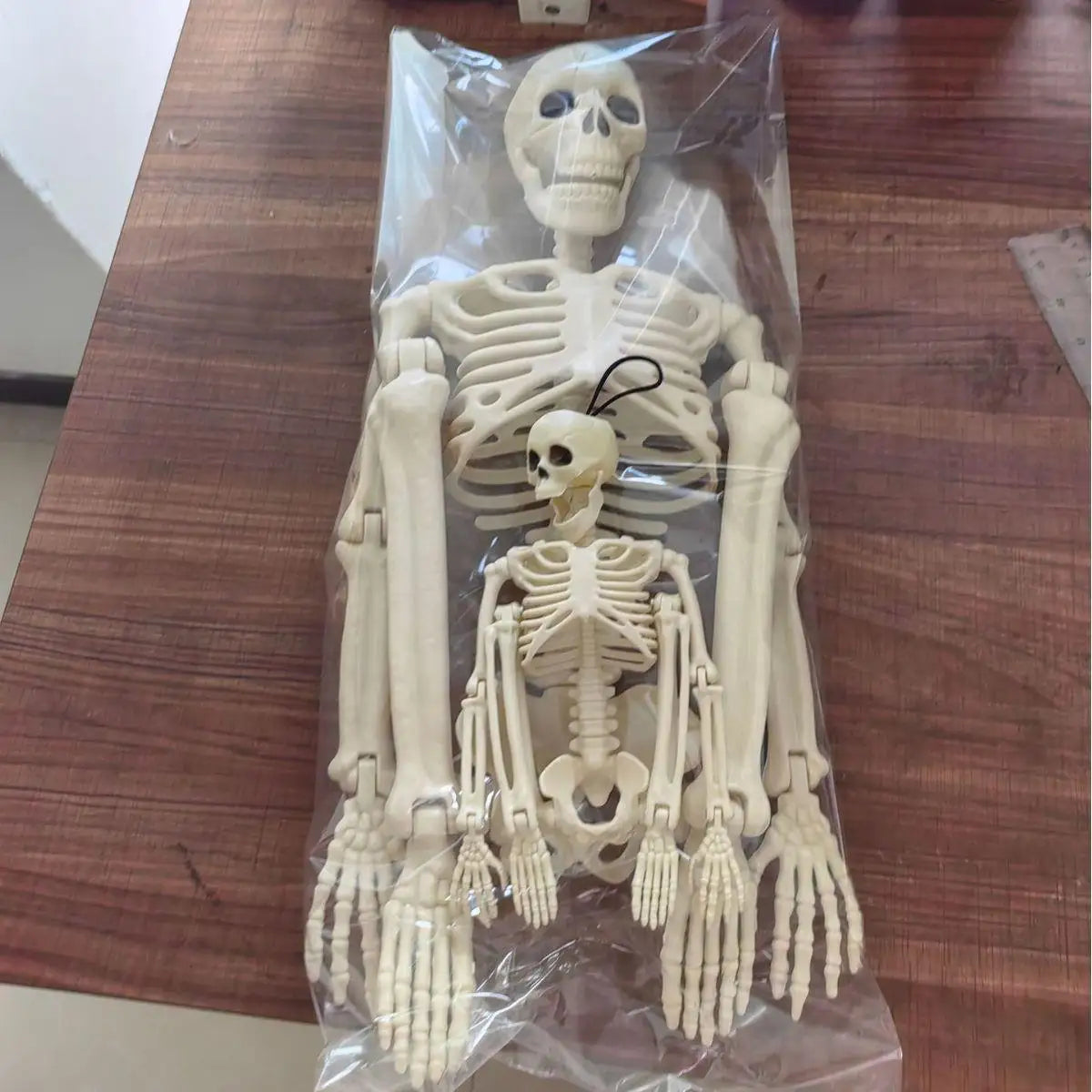 Life-Size Movable Skeleton - Halloween Haunted House Prop Decoration