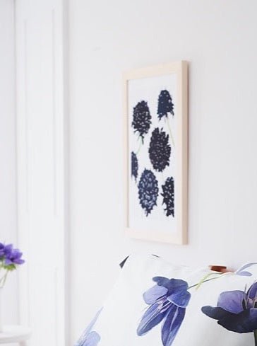 Art Print: Black Scabiosa on Snow - HavenlyCo
