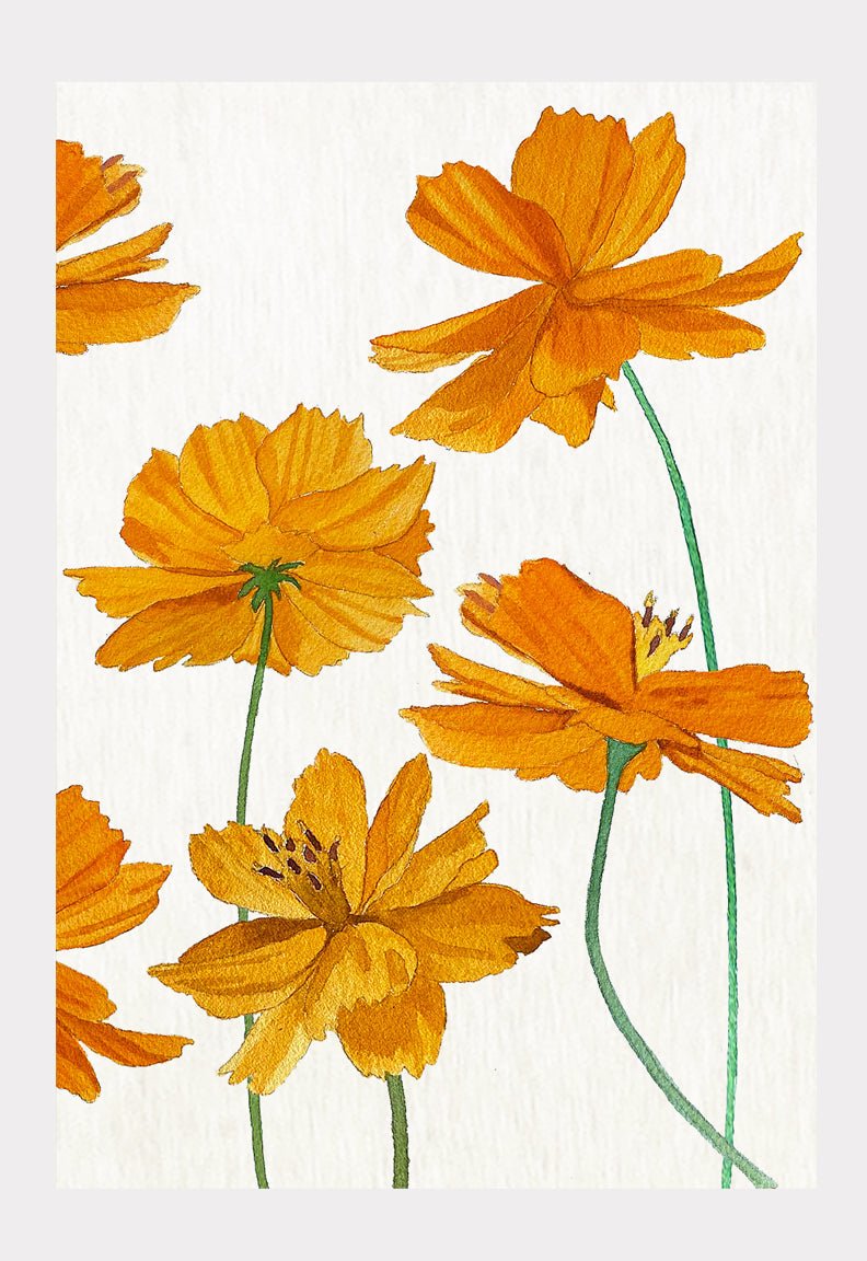 Art Print: Orange Cosmos on Snow - HavenlyCo
